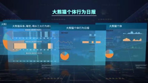 公司也将根据市场反馈不断完善产品和发展战略