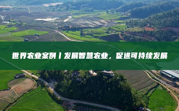 引导劳动者在工具应用与结果反馈过程中积累高质量数据